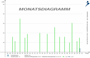 Lauftagebuch: Monatsdiagramm