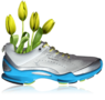 Lauf-Wiedereinstieg im Frühling