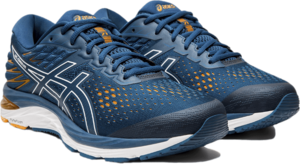 Testbericht Asics Cumulus 21